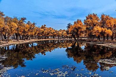 将持续关注反馈！ 樱桃组官方回应《丝之歌》新版翻译问题